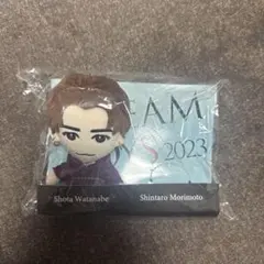 DREAM BOYS 2023 渡辺翔太 ぬいぐるみ