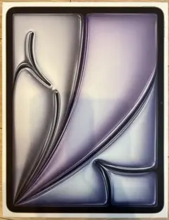 iPad Air（M2） 13インチ 256GBスペースグレイ Wi-Fiモデル