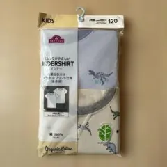 Item thumbnail for item fbb348a9-df82-4bc4-b8f6-7aa5d2a8b5f9