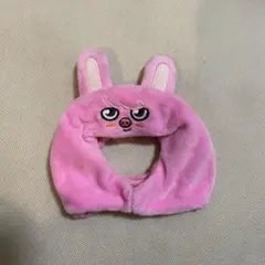 2025年最新】straykids ペンライトカバー ver.2の人気アイテム - メルカリ