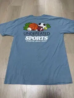 UNDEFEATED SPORTS Tシャツ M ブルー バックプリントのサムネイル