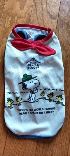 Item thumbnail for item 827b3839-026c-4ecb-b64d-7e8576bab9e7