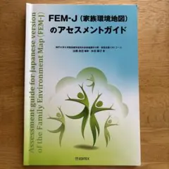FEM-J〈家族環境地図〉のアセスメントガイド