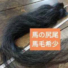 Item thumbnail for item e3176b7a-2013-4610-92c3-cbaa2b91d076