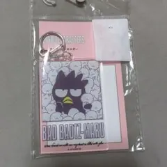 2025年最新】バッドばつ丸 はな丸の人気アイテム - メルカリ