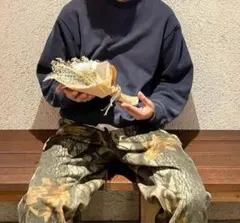 Wrangler リアルツリーデニム