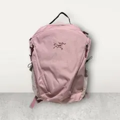 2026年最新】ARC'TERYX カラー：ピンク系 メンズ リュック・バック