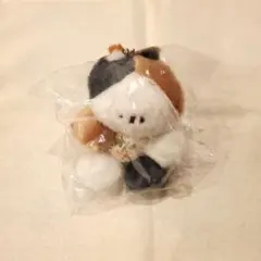 マルミミネコのまあるいぬいぐるみ みけねこさん