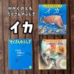 イカの絵本　かがくのとも　たくさんのふしぎ