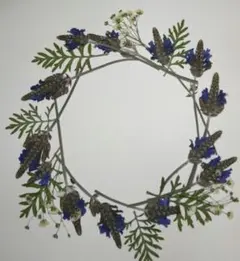 Item thumbnail for item 71ce01bb-a85d-46c8-b784-37fce61e6d2b