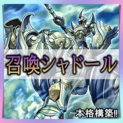 遊戯王 シャドール 本格構築 デッキ 誘発 汎用 複数あり 灰流うらら