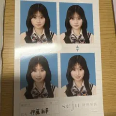 伊藤彩華 証明写真 seju - メルカリ