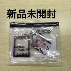 stray kids straykids lovestay