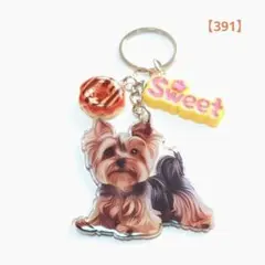 Item thumbnail for item 3790066d-a1ca-4b78-9736-de2ce79760ad