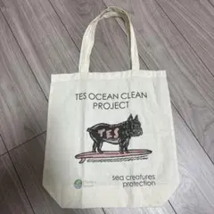 TES ハンドバッグ　エコバッグ