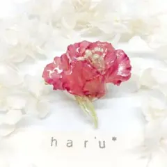 ❁カーネーションヘアクリップ❁ドライフラワー　ハンドメイド