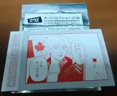 地政学ボーイズ　カードコレクション　カナダ