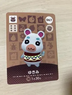 amiibo ゆきみ　あつ森