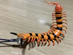 ★危険生物フィギュア ★インドタイガームカデ★ストラップ　Ｂ