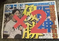 阪神タイガース 優勝　号外　ニッカン　2枚セット