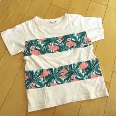 branshes ブランシェス Tシャツ　フラミンゴ ピンク　120cm