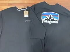 パタゴニア　Tシャツ　2枚