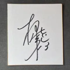 2026年最新】柳田将洋の人気アイテム - メルカリ