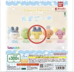 たまごっち カプセルフロッキーズ　まめっち1点