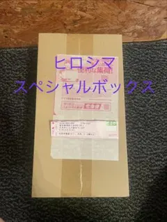 新品未開封　ポケモンセンター　ヒロシマ　スペシャルボックス