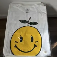 Item thumbnail for item 305c6cd2-734e-493f-89cd-e09c999f6587