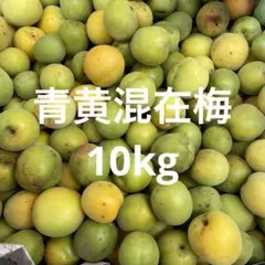 0️⃣4️⃣ 山梨県産 甲州小梅 (中熟) 箱込10キロ - メルカリ