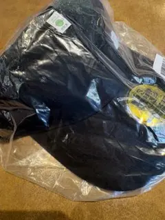 ぽこあポケモン　エディオン限定特典　メタモンキャップ