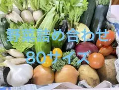 野菜詰め合わせ　野菜セット　80サイズのサムネイル