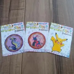 ポケモン　ワッペンセット