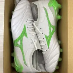 モレリアネオ4β