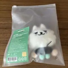 TXT プルバトゥ キーリング チェ ヨンモン スビン