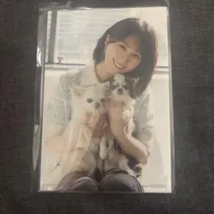 LOVE オフィシャルカレンダーブック 封入特典ポストカード 佐々木舞香