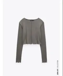Zara グレー クロップド丈長袖トップス