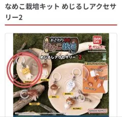 なめこ栽培キット めじるしアクセサリー2 天使なめこ