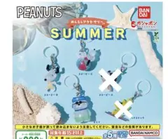 PEANUTS めじるしアクセサリー SUMMER 3種セット
