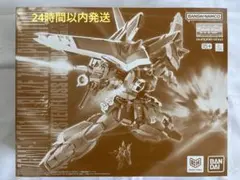 MG 1/100 ブレイズザクファントム（ハイネ・ヴェステンフルス専用機）