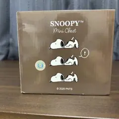 PEANUT SNOOPY mini Chest スヌーピー　ミニチェスト