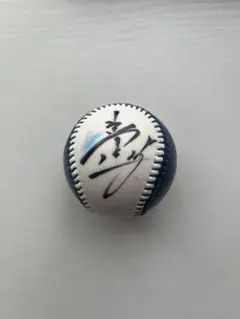 鬼*介様 北海道日本ハムファイターズ エドポロケイン 直筆サインボール