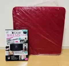 【超美品】ディノス　パーフェクトエクサ　レッド　エクササイズ パーフェクトエクサ 通販 - ディノス