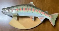 雨子 あまご アマゴ サツキマス トラウト 魚 置物 剥製 渓流 本流