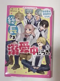 野いちごジュニア文庫の恋愛小説まとめ売り(ばら売りも可能です！) 野いちごジュニア文庫 恋愛小説 - メルカリ