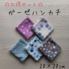 お得セット★ダブルガーゼハンカチ★ハンドメイド★５枚セット★バラ売り可