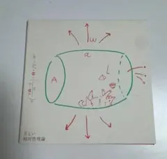 正しい相対性理論　やくしまるえつこ