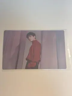 SEVENTEEN POWER OF LOVE トレカ ウォヌ