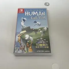 Nintendo Switch Human Fall Flat